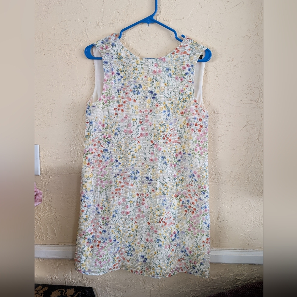 Zara Basic Collection Floral Sleeveless Dress